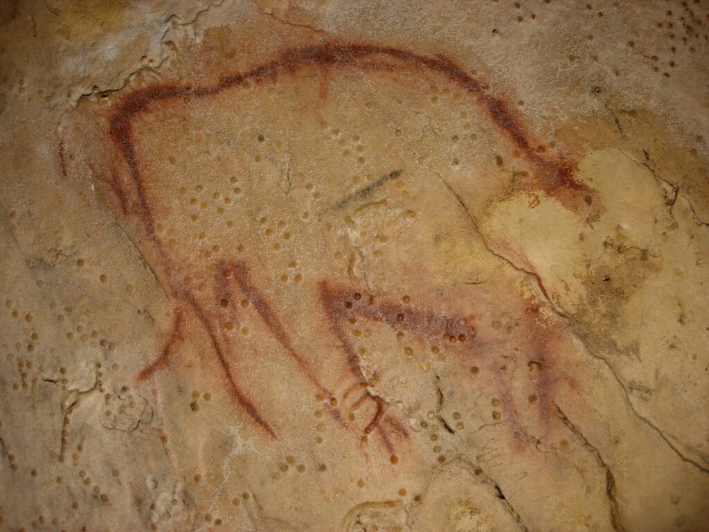 Les grottes d’Arcy sur Cure. Peinture de mammouth.